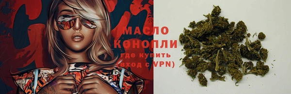 дживик Костерёво
