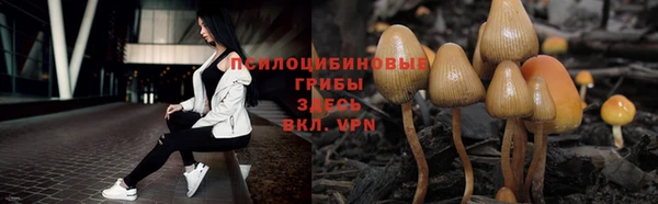 дживик Костерёво