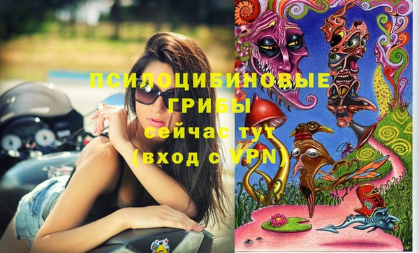 тгк Коряжма