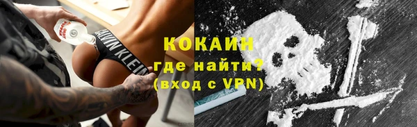дживик Костерёво