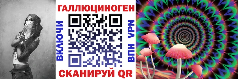 kraken маркетплейс  Томари  Псилоцибиновые грибы Psilocybe 